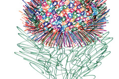 wild-flower-84-x-59-cm